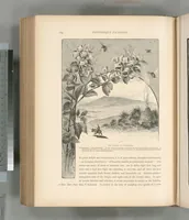 Picture 413 of 575 from Picturesque Palestine, Sinai and Egypt (1881), leaf 439