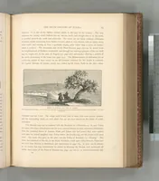 Picture 416 of 575 from Picturesque Palestine, Sinai and Egypt (1881), leaf 442