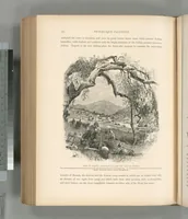 Picture 417 of 575 from Picturesque Palestine, Sinai and Egypt (1881), leaf 443
