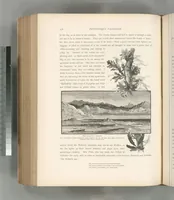 Picture 462 of 575 from Picturesque Palestine, Sinai and Egypt (1881), leaf 496