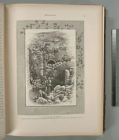 Picture 49 of 575 from Picturesque Palestine, Sinai and Egypt (1881), leaf 51