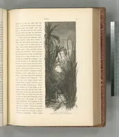 Picture 479 of 575 from Picturesque Palestine, Sinai and Egypt (1881), leaf 514