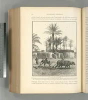 An illustration from Picturesque Palestine, Sinai and Egypt (1881)