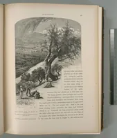 Picture 59 of 575 from Picturesque Palestine, Sinai and Egypt (1881), leaf 61