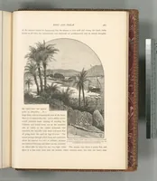 Picture 567 of 575 from Picturesque Palestine, Sinai and Egypt (1881), leaf 618