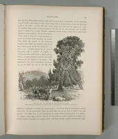 Picture 65 of 575 from Picturesque Palestine, Sinai and Egypt (1881), leaf 67
