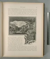 Picture 70 of 575 from Picturesque Palestine, Sinai and Egypt (1881), leaf 73