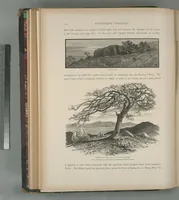 Picture 71 of 575 from Picturesque Palestine, Sinai and Egypt (1881), leaf 74