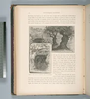 Picture 73 of 575 from Picturesque Palestine, Sinai and Egypt (1881), leaf 77