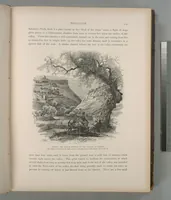 Picture 74 of 575 from Picturesque Palestine, Sinai and Egypt (1881), leaf 78