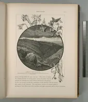 Picture 75 of 575 from Picturesque Palestine, Sinai and Egypt (1881), leaf 79