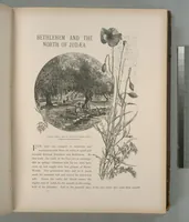 Picture 77 of 575 from Picturesque Palestine, Sinai and Egypt (1881), leaf 81