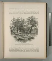 Picture 79 of 575 from Picturesque Palestine, Sinai and Egypt (1881), leaf 84