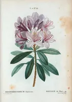 An illustration from Nouveau Duhamel (1801)
