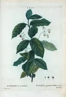 An illustration from Nouveau Duhamel (1801)