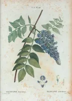 An illustration from Nouveau Duhamel (1801)