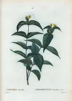 Picture 19 of 500 from Nouveau Duhamel (1801), leaf 19