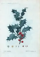 An illustration from Nouveau Duhamel (1801)