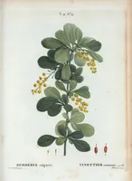 An illustration from Nouveau Duhamel (1801)