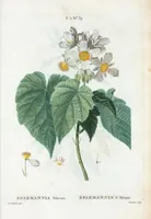 An illustration from Nouveau Duhamel (1801)