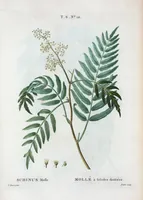 An illustration from Nouveau Duhamel (1801)