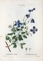 An illustration from Nouveau Duhamel (1801)