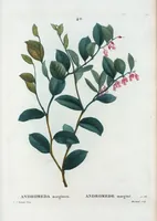 An illustration from Nouveau Duhamel (1801)