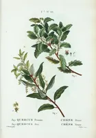 Picture 472 of 500 from Nouveau Duhamel (1801), leaf 474