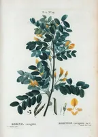 An illustration from Nouveau Duhamel (1801)
