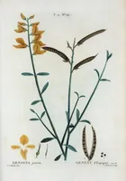 An illustration from Nouveau Duhamel (1801)