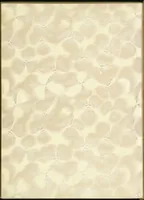 An illustration from Bookbinding : books bequeathed by William Augustus Spencer (1880)