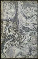 Picture 242 of 474 from Bookbinding : books bequeathed by William Augustus Spencer (1880), leaf 366