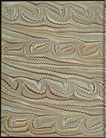 Picture 247 of 474 from Bookbinding : books bequeathed by William Augustus Spencer (1880), leaf 372