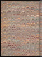 Picture 304 of 474 from Bookbinding : books bequeathed by William Augustus Spencer (1880), leaf 450
