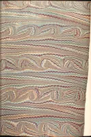 Picture 322 of 474 from Bookbinding : books bequeathed by William Augustus Spencer (1880), leaf 470
