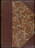 Picture 347 of 474 from Bookbinding : books bequeathed by William Augustus Spencer (1880), leaf 503