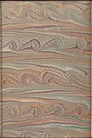 Picture 349 of 474 from Bookbinding : books bequeathed by William Augustus Spencer (1880), leaf 505