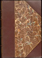 Picture 358 of 474 from Bookbinding : books bequeathed by William Augustus Spencer (1880), leaf 517