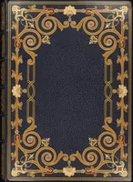 Picture 388 of 474 from Bookbinding : books bequeathed by William Augustus Spencer (1880), leaf 566