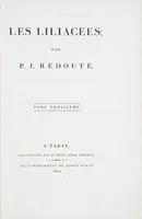 Picture 241 of 960 from Les liliacées (1805), leaf 124