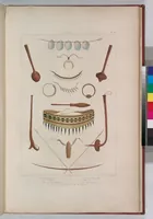 An illustration from Voyage de la corvette l'Astrolabe exécuté par ordre du roi, pendant les années 1826-1827-1828-1829, sous le commandement de M. J. Dumont d'Urville (1830)