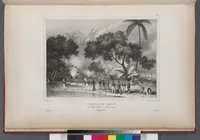 An illustration from Voyage de la corvette l'Astrolabe exécuté par ordre du roi, pendant les années 1826-1827-1828-1829, sous le commandement de M. J. Dumont d'Urville (1830)
