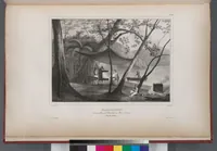 An illustration from Voyage de la corvette l'Astrolabe exécuté par ordre du roi, pendant les années 1826-1827-1828-1829, sous le commandement de M. J. Dumont d'Urville (1830)