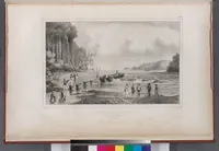 An illustration from Voyage de la corvette l'Astrolabe exécuté par ordre du roi, pendant les années 1826-1827-1828-1829, sous le commandement de M. J. Dumont d'Urville (1830)