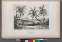 An illustration from Voyage de la corvette l'Astrolabe exécuté par ordre du roi, pendant les années 1826-1827-1828-1829, sous le commandement de M. J. Dumont d'Urville (1830)