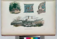 Picture 148 of 426 from Voyage de la corvette l'Astrolabe exécuté par ordre du roi, pendant les années 1826-1827-1828-1829, sous le commandement de M. J. Dumont d'Urville (1830), leaf 148