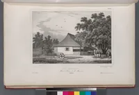 An illustration from Voyage de la corvette l'Astrolabe exécuté par ordre du roi, pendant les années 1826-1827-1828-1829, sous le commandement de M. J. Dumont d'Urville (1830)