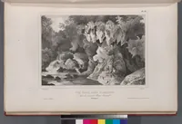 Picture 151 of 426 from Voyage de la corvette l'Astrolabe exécuté par ordre du roi, pendant les années 1826-1827-1828-1829, sous le commandement de M. J. Dumont d'Urville (1830), leaf 151