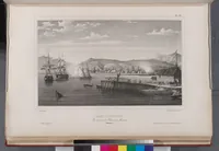 An illustration from Voyage de la corvette l'Astrolabe exécuté par ordre du roi, pendant les années 1826-1827-1828-1829, sous le commandement de M. J. Dumont d'Urville (1830)