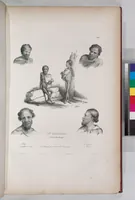 Picture 18 of 426 from Voyage de la corvette l'Astrolabe exécuté par ordre du roi, pendant les années 1826-1827-1828-1829, sous le commandement de M. J. Dumont d'Urville (1830), leaf 18